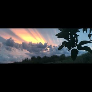 Meet your Posher, Pamela